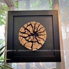  Driftwood Wall Art M6 