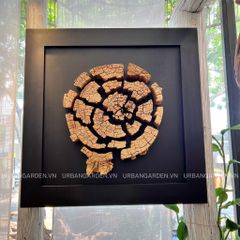  Driftwood Wall Art M6 