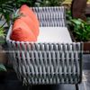  Bộ Sofa ngoài trời QUEENIE - Xám Trắng 