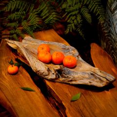  Khay Gỗ Decor Gỗ Lũa Reborn Wood Driftwood 16IX3-Lot No.2 