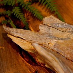  Khay Gỗ Decor Gỗ Lũa Reborn Wood Driftwood 16IX3-Lot No.2 