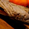  Khay Gỗ Decor Gỗ Lũa Reborn Wood Driftwood 16IX3-Lot No.2 