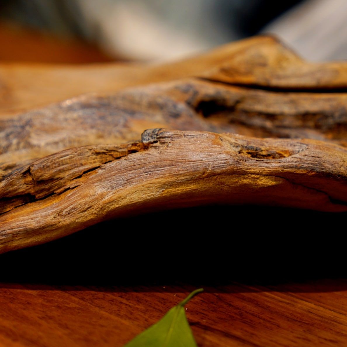  Khay Gỗ Decor Gỗ Lũa Reborn Wood Driftwood 16IX3-Lot No.2 