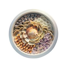 Sea Shell Art D23 - Tròn 