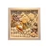  Sea Shell Art D23 