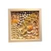  Sea Shell Art D23 