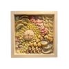  Sea Shell Art D23 