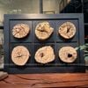  Driftwood Wall Art M1 