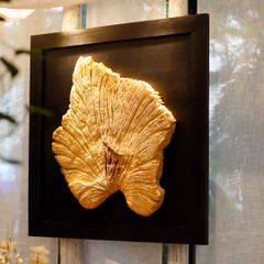  Driftwood Wall Art M7 