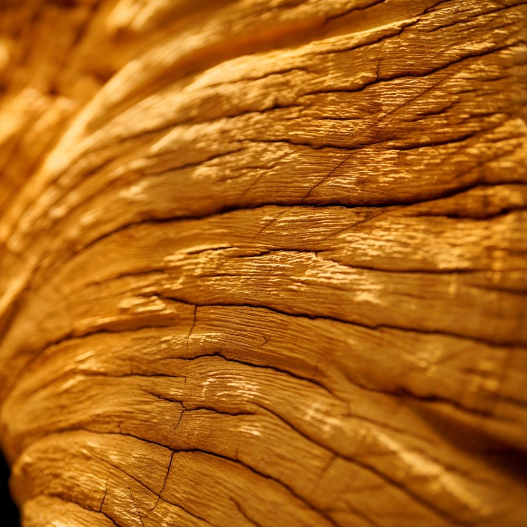  Driftwood Wall Art M7 