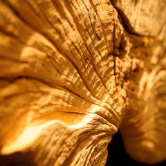  Driftwood Wall Art M7 