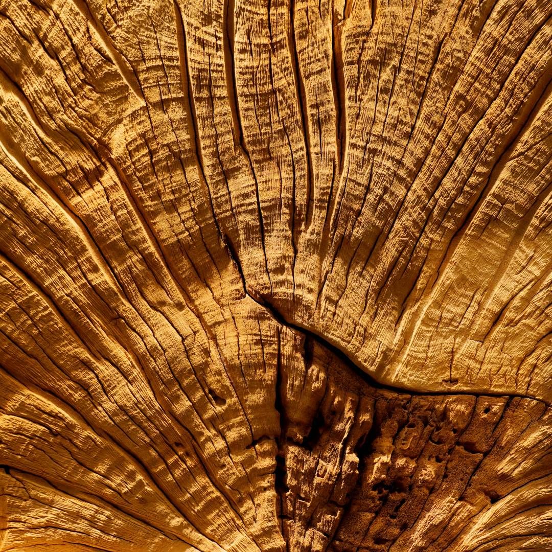  Driftwood Wall Art M7 