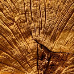  Driftwood Wall Art M7 