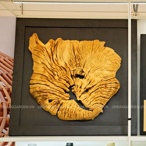 Driftwood Wall Art M4