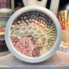  Sea Shell Art D23 - Tròn 