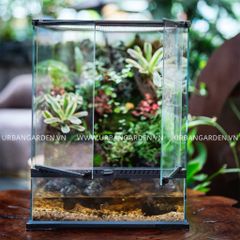  Hệ sinh thái thu nhỏ Paludarium 