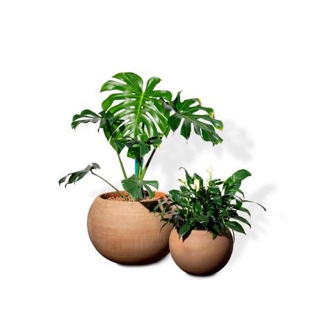 Bộ Chậu Cây Gốm Cotta