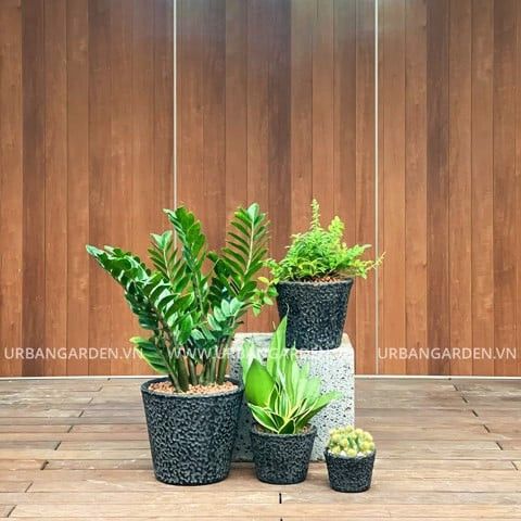  Bộ Chậu Cây Gốm Noir 