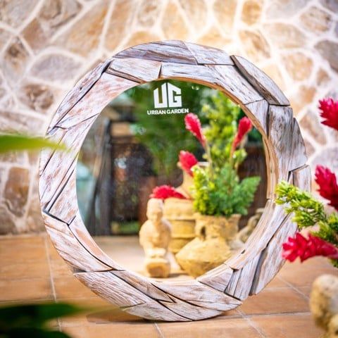  Gương tròn Gỗ Lũa Reborn Wood Driftwood Jungle 24AX3 D1M -  White Wash 