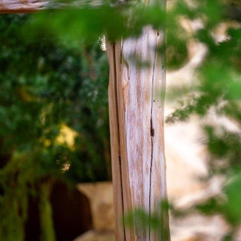  Gương chữ nhật Gỗ Lũa Reborn Wood Driftwood Gothic 1M1 - White Wash 