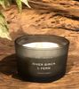  River Birch & Fern Candle 