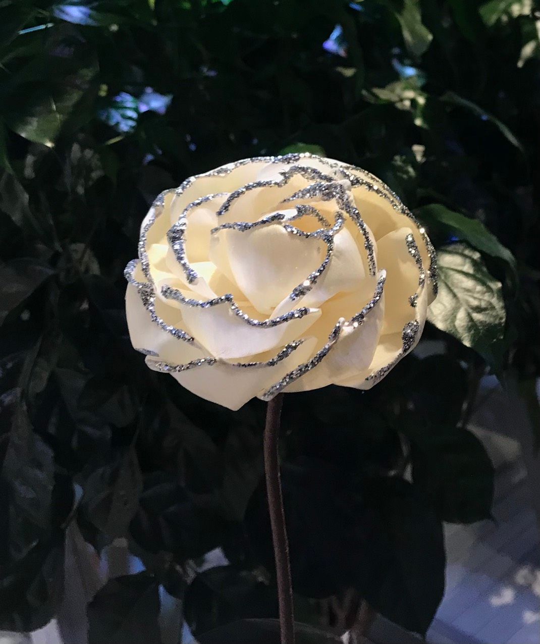  Hoa Khô Queen'S Rose - Sliver (9 cm) 