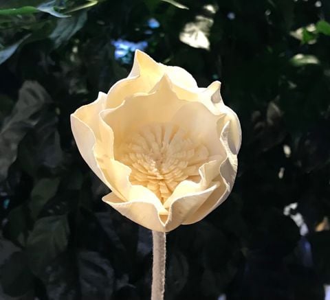 Hoa Khô Plum Peony Diffuser (6cm)