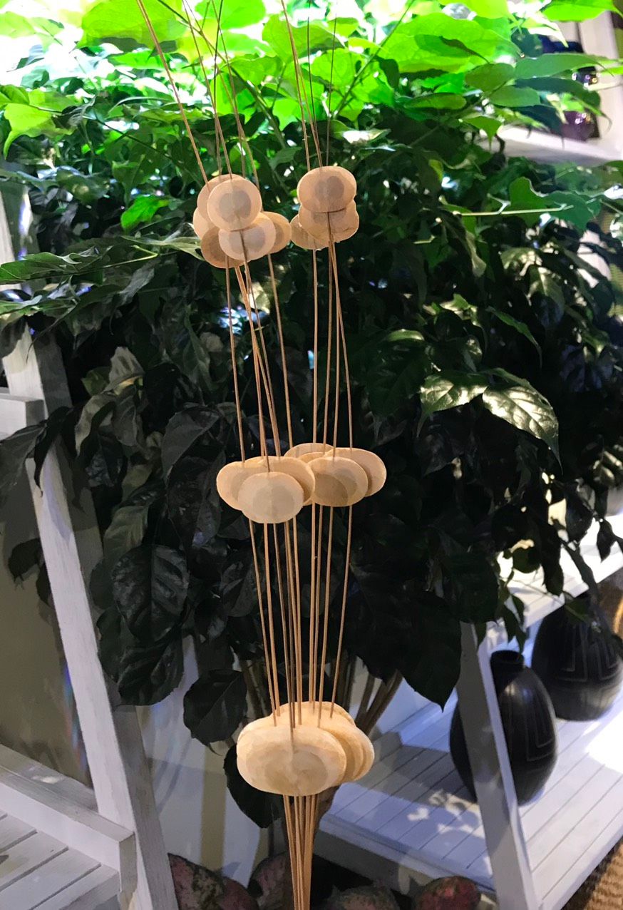  Hoa Khô 3 Silver Dollars 