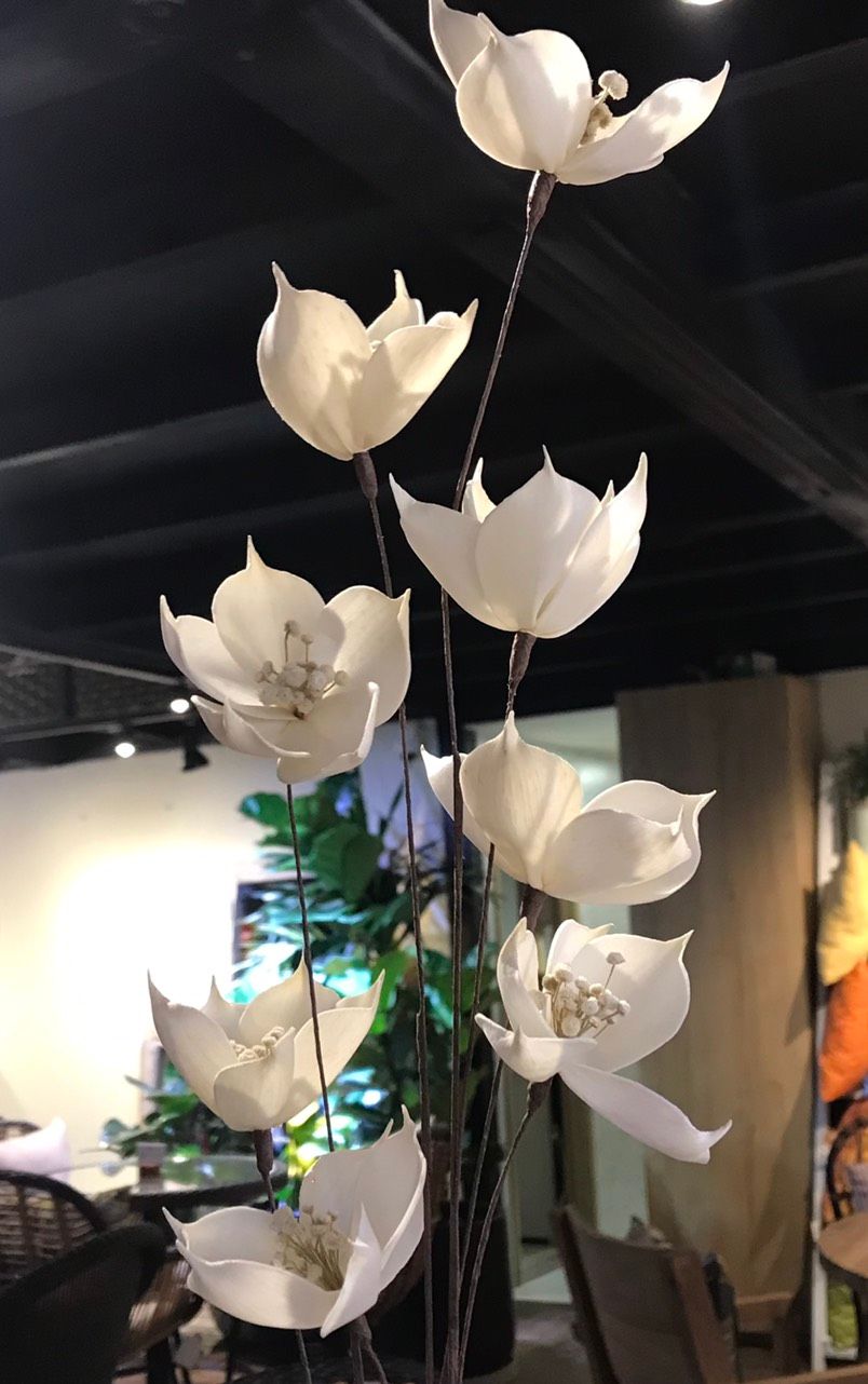  Hoa Khô 3 Orange Blossom Branch 