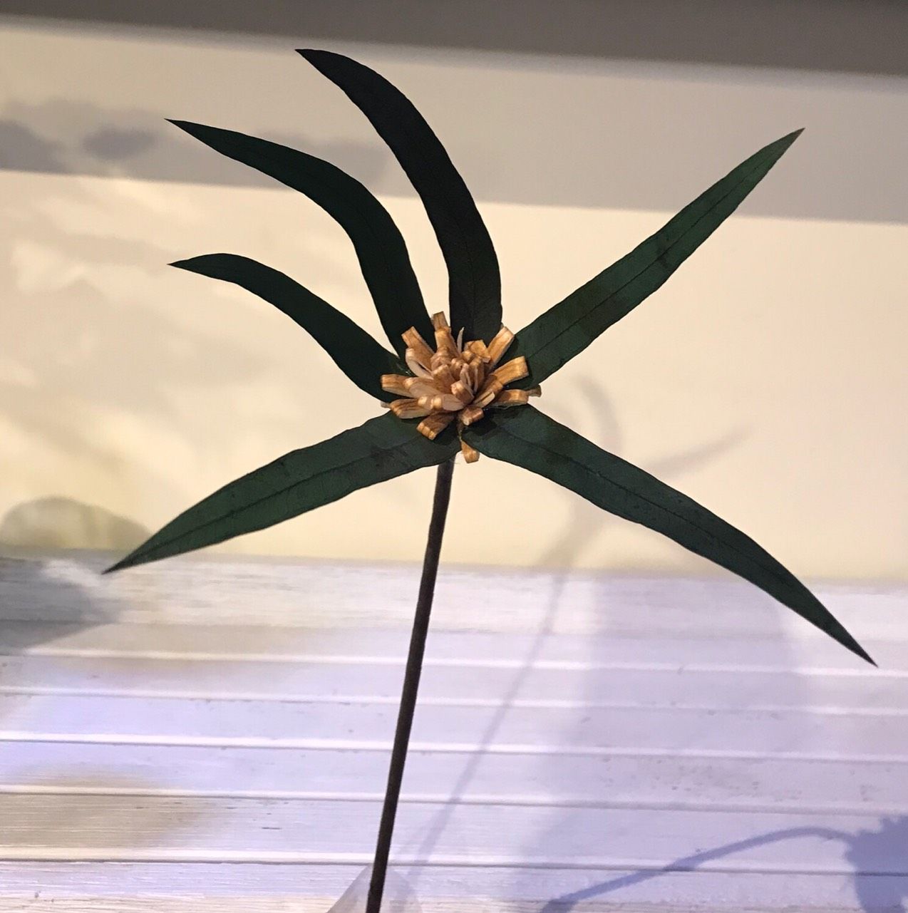  Hoa Khô Star Eucalyp 