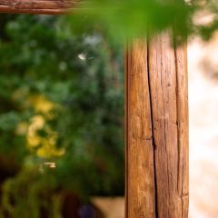  Gương chữ nhật Gỗ Lũa Reborn Wood Driftwood Gothic 1M1 -  Walnut 