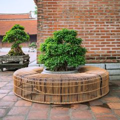  Băng Ghế Be Module 