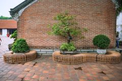  Băng Ghế Be Module 