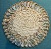  Sea Shell Art D50 