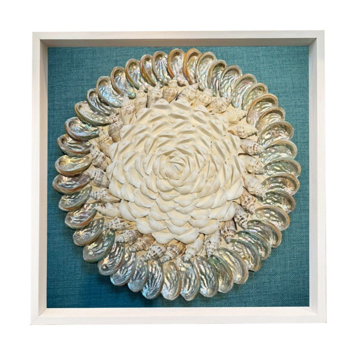  Sea Shell Art D50 