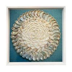  Sea Shell Art D50 