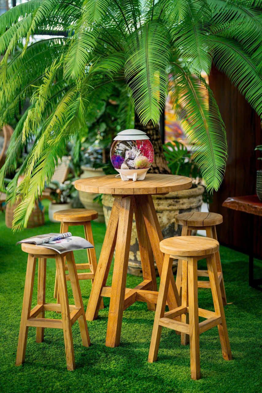  Ghế Bar Tròn Gỗ Reclaimed Teak Amazon 