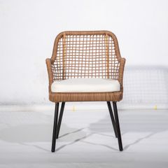  Ghế Ăn Mây Nhựa Camila 