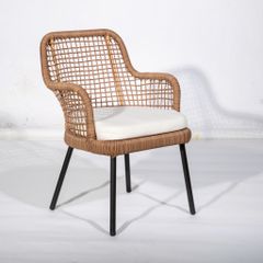  Ghế Ăn Mây Nhựa Camila 