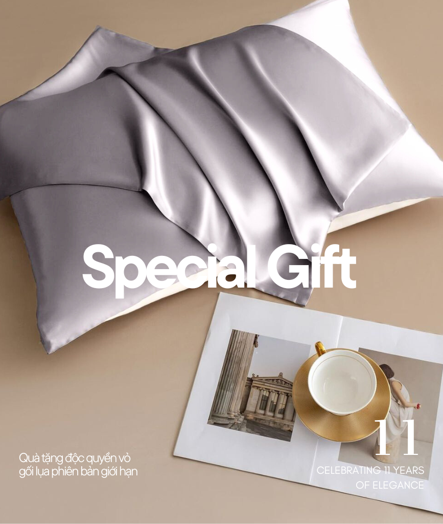  [GIFT] ÁO GỐI TẶNG HOÁ ĐƠN 1.5 TRIỆU 