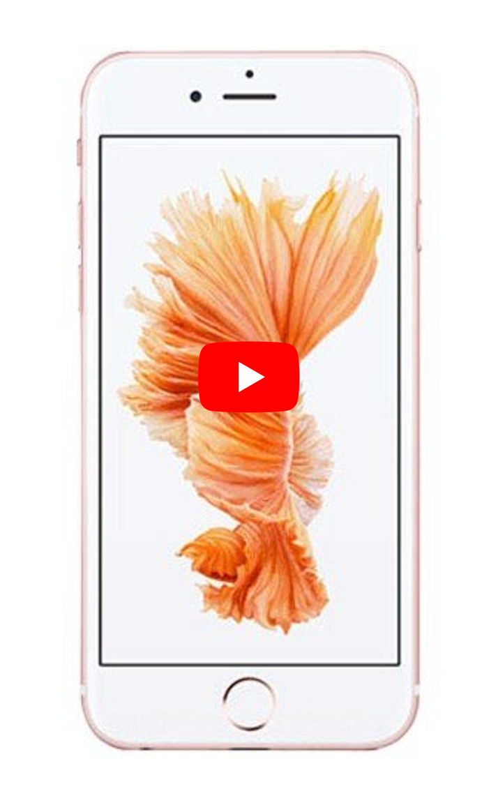 Iphone 6s Plus Rose Gold 16gb - Free Ship