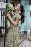  Sơ mi tay ngắn, Dáng sơ vin 25SSME068F 