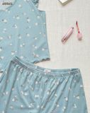  Bộ thun gân lạnh cotton TAY CÁNH TIÊN cho nữ 