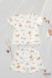  Bộ thun cotton giấy Hàn bé trai hoạ tiết safari Ecobambi 