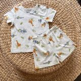  Bộ thun cotton giấy Hàn bé trai hoạ tiết safari Ecobambi 
