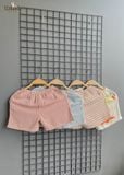  Quần short sọc caro cotton Muslin Unisex phong cách Hàn Quốc có thể phối nhiều kiểu áo cho bé ECOBAMBI 