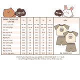  Bộ thun raglan tay ngắn phối màu bé trai ECOBAMBI - BB-23BOBT032 - 8935334001404 