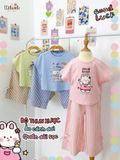  Bộ thun xược áo cánh dơi - quẩn sọc lửng thắt nơ bé gái ECOBAMBI - 8935334001961 