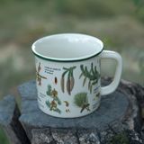  Cốc Gốm Thông Viền Xanh 