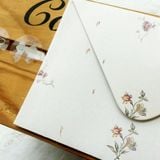  Bì Thư Hoa 18 